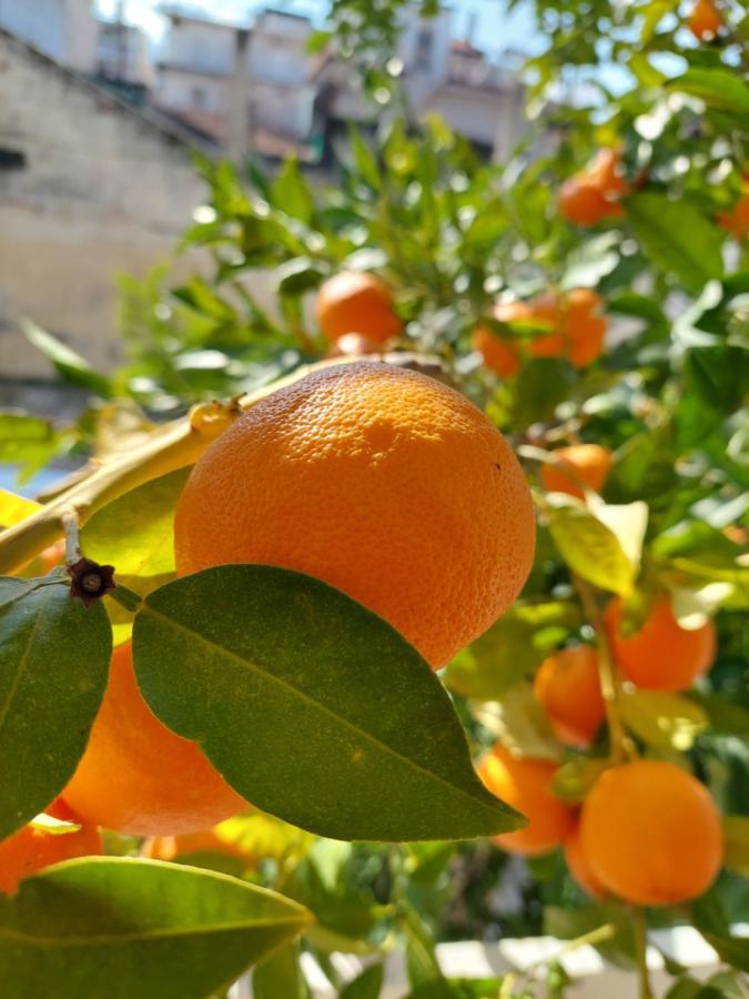Orange Tree Apartment Asproválta Exteriér fotografie